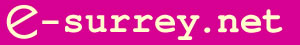 e-surrey.net logo