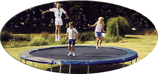 Gold Premier Premier 14ft Round Trampoline UK Trampolines